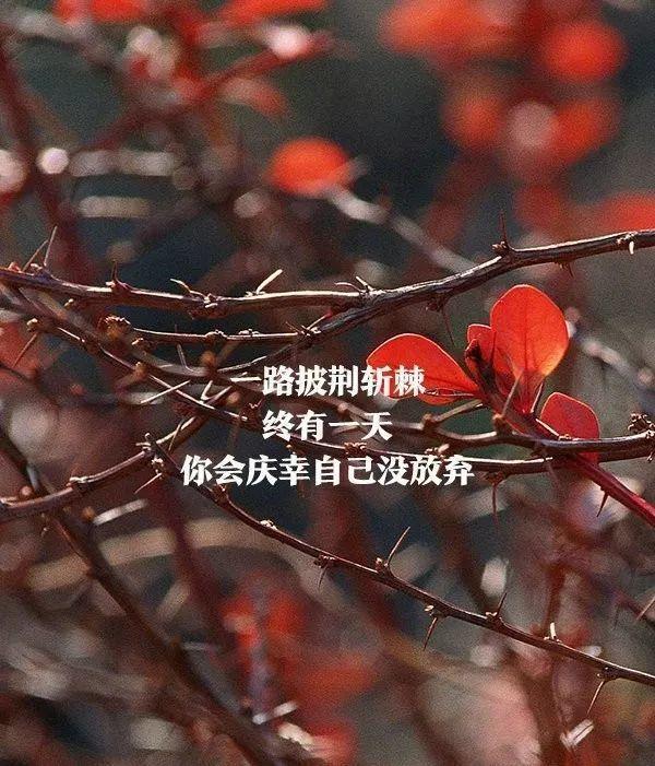 富士康广州超视堺出售陷疑云王志超重回群创董事会“yabo鸭脖”(图3) yabo鸭脖集团