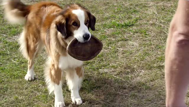 yabo鸭脖|岳云鹏打翻化妆品 妻子郑敏:他知道我不会生气(图1) YABO鸭脖官网