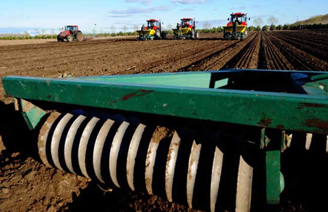 YABO鸭脖官网_陈书莹视察2019年民营企业招聘周暨就业扶贫专场招聘会(图4) YABO鸭脖官网