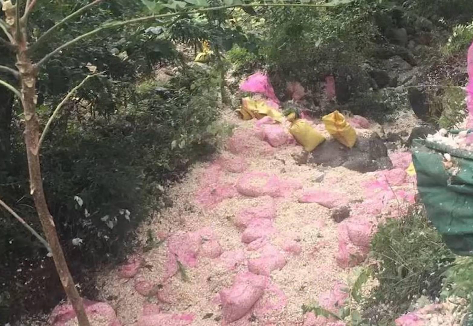 yabo鸭脖-河南两辆卡车翻车 造成8死11伤 乡政府:事件中很多弯路还在控制之中(图3)