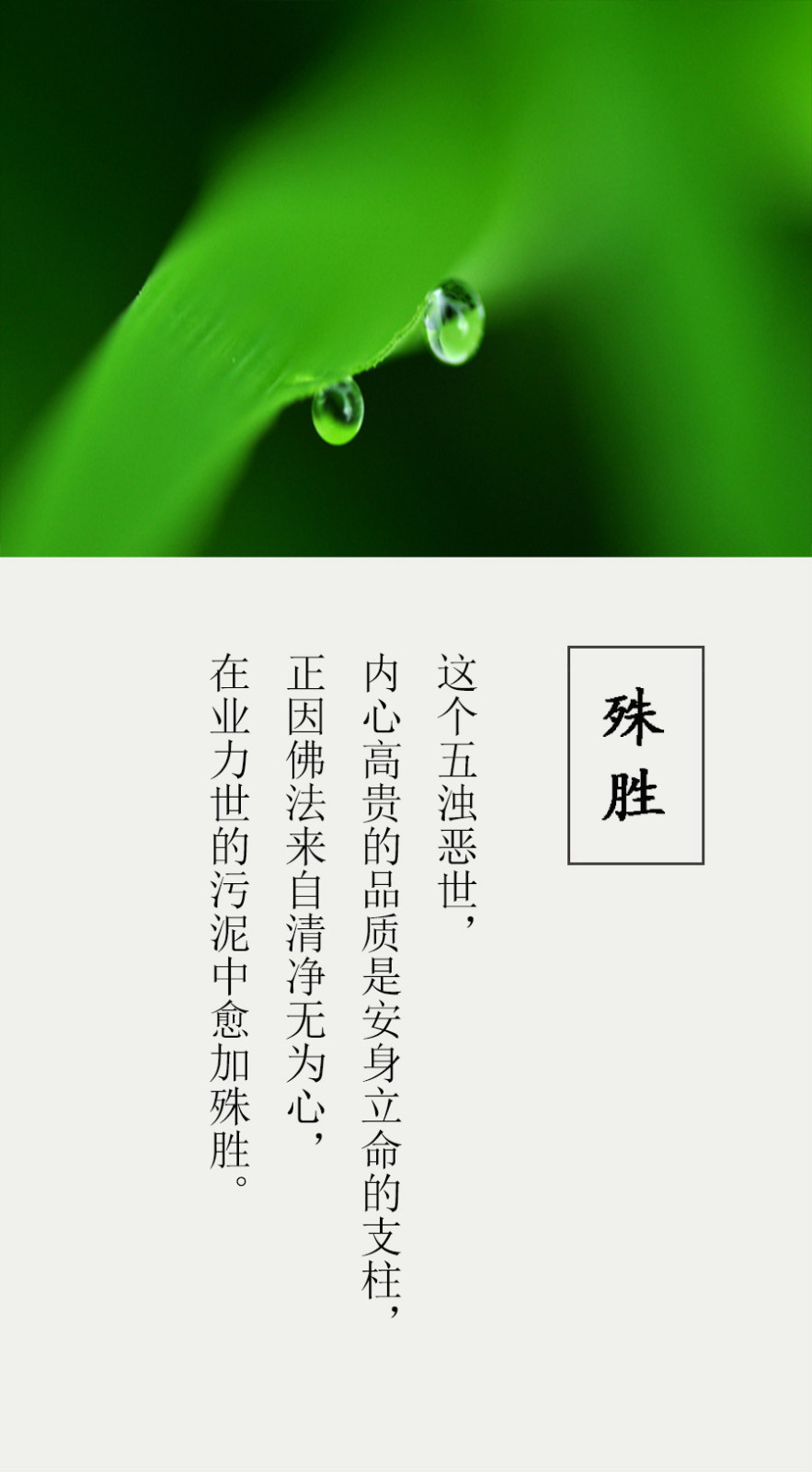 YABO鸭脖官网