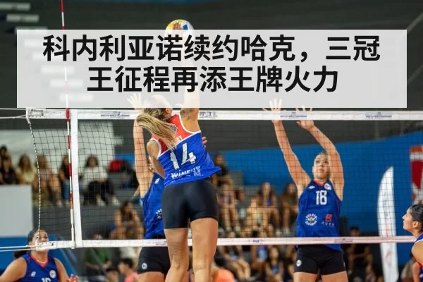 volleyball match action