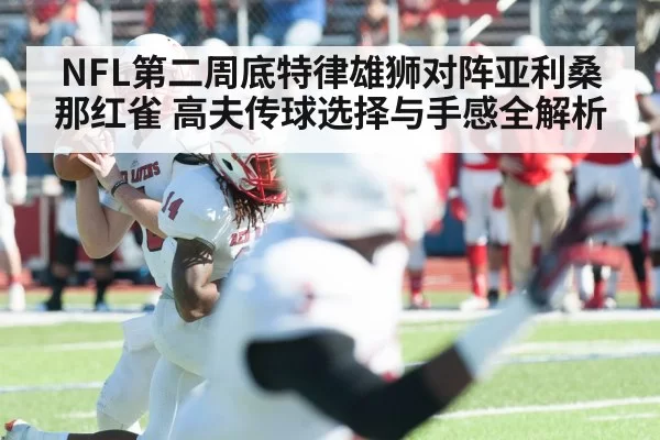NFL第二周底特律雄狮对阵亚利桑那红雀 高夫传球选择与手感全解析